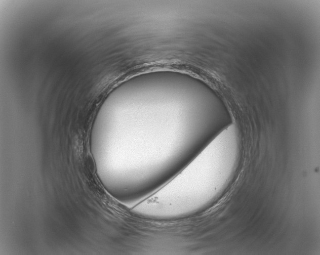 X0000061721257200512021033