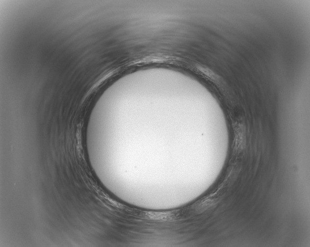 X0000061721258200512021033