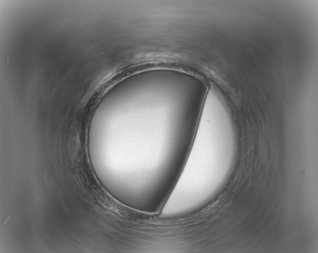 X0000061721261200512021033