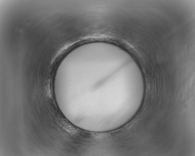 X0000061721262200512021033