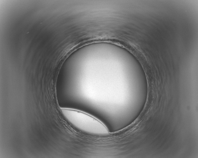 X0000061721265200512021033