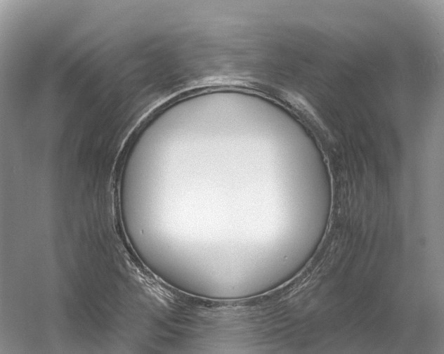 X0000061721268200512021033