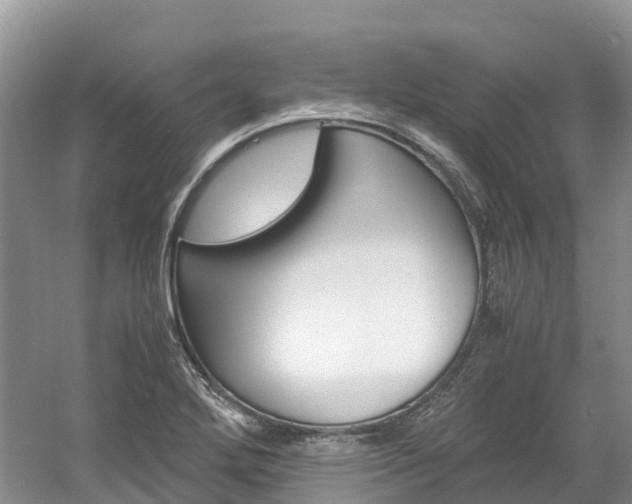 X0000061721272200512021033
