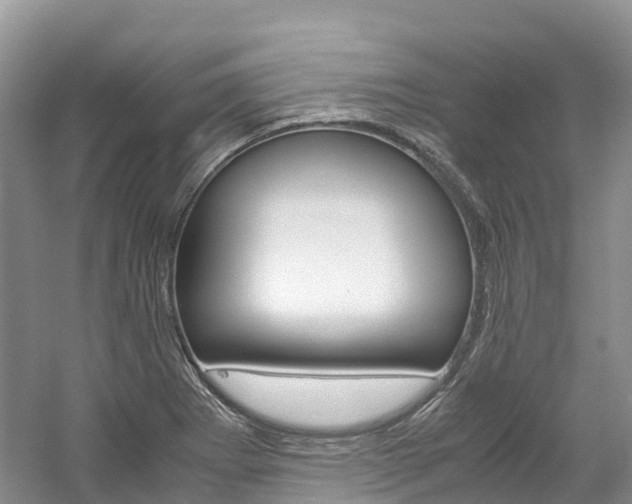 X0000061721273200512021033