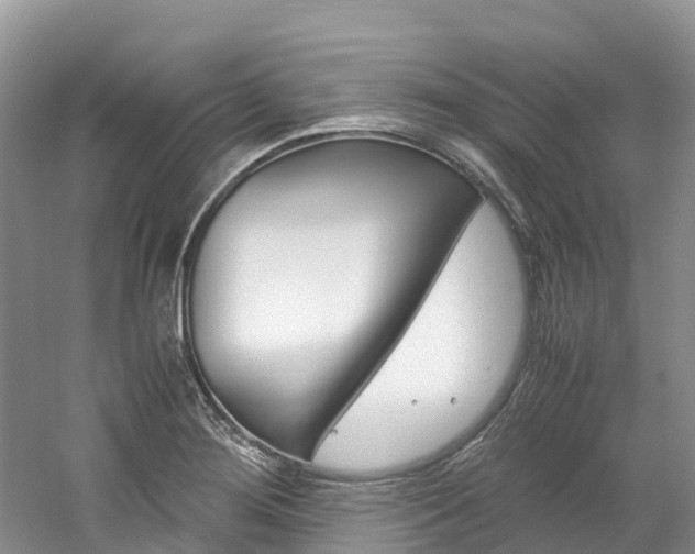 X0000061721276200512021032