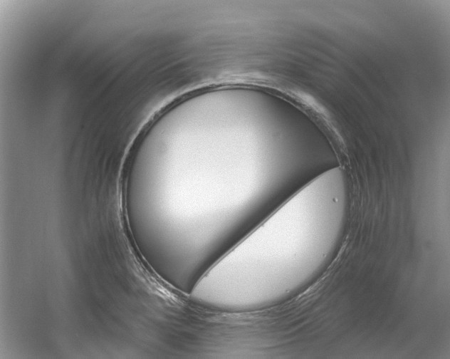 X0000061721280200512021032