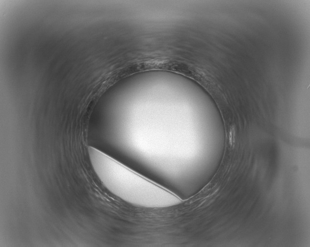 X0000061721299200512021031