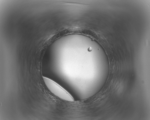 X0000061721301200512021031