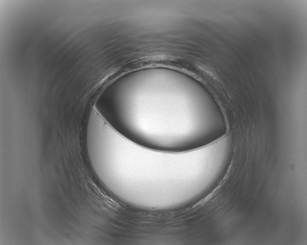 X0000061721305200512021031