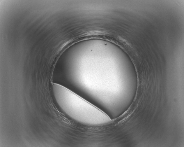 X0000061721313200512021032