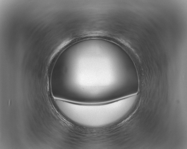 X0000061721317200512021032