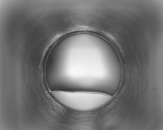 X0000061721318200512021032