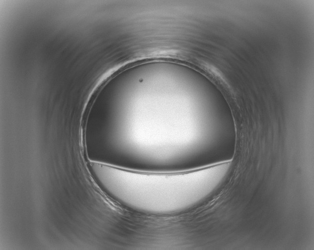 X0000061721324200512021032