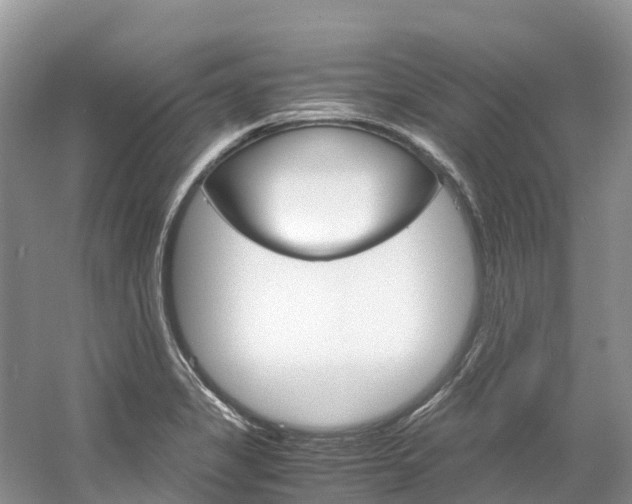 X0000061721325200512021032