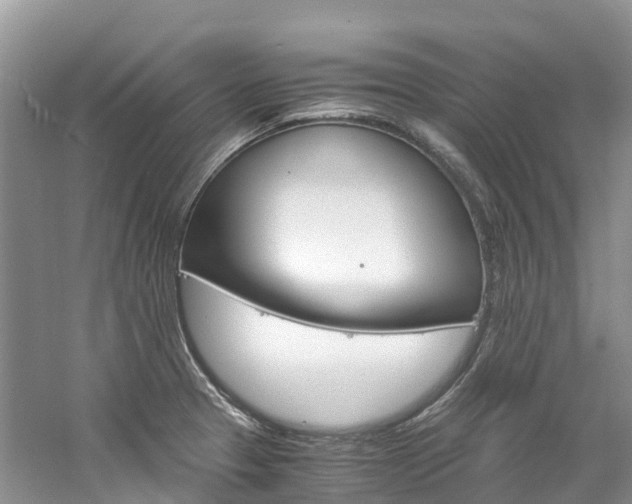 X0000061721329200512021032