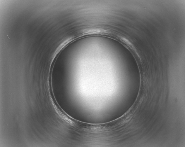 X0000061721330200512021032