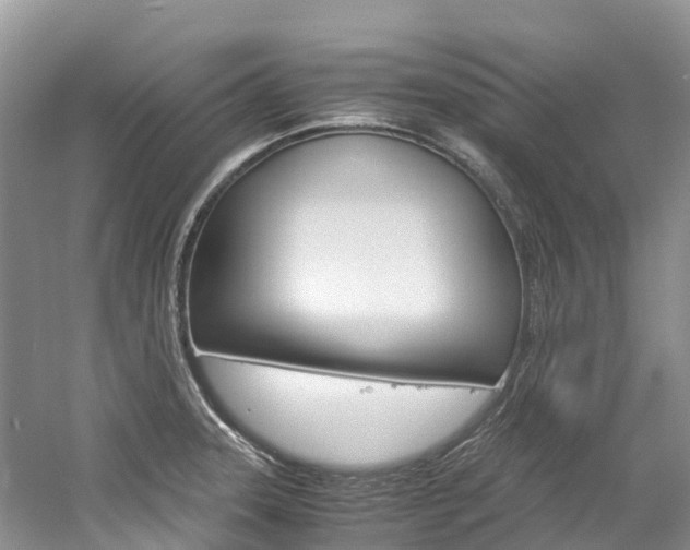 X0000061721331200512021032