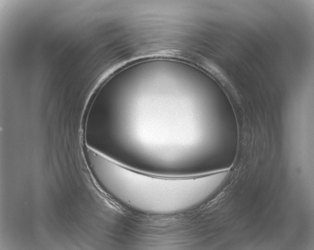 X0000061721332200512021032