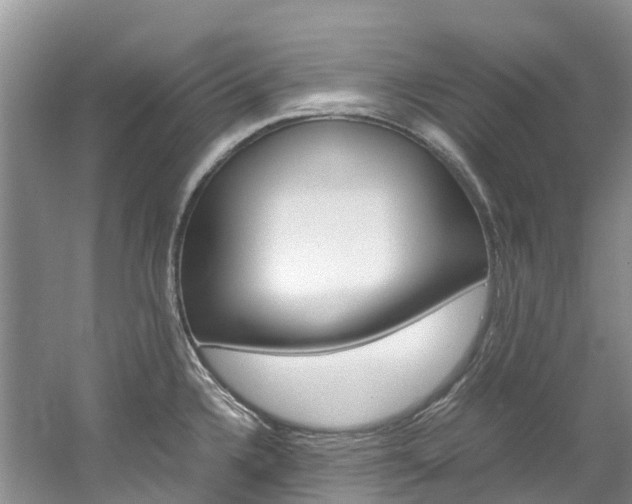 X0000061721336200512021032