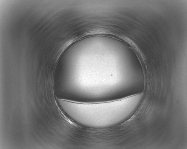 X0000061721337200512021032