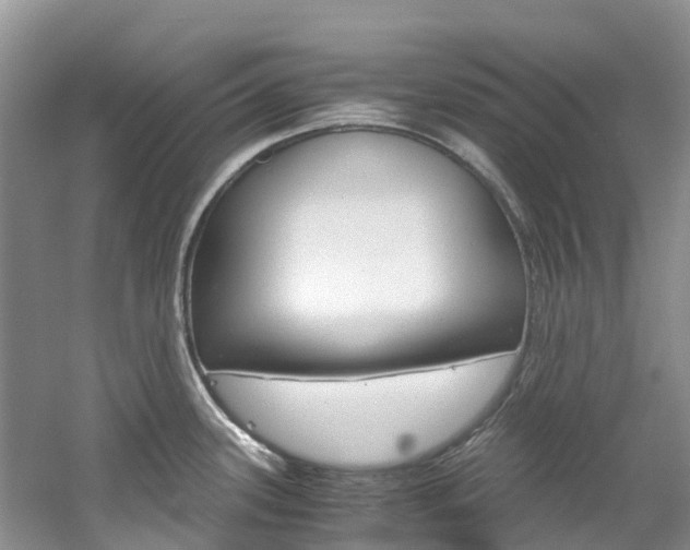X0000061721339200512021032