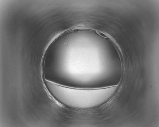 X0000061721341200512021032