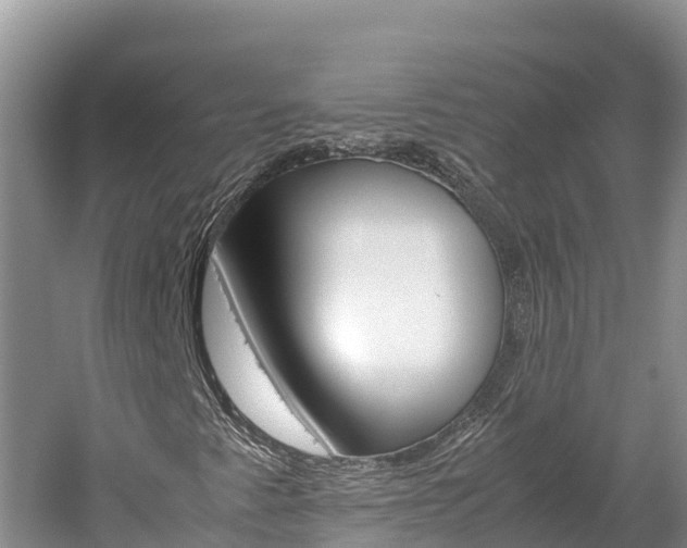 X0000061721345200512021031