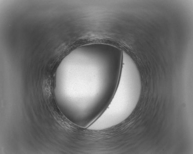 X0000061721348200512021031