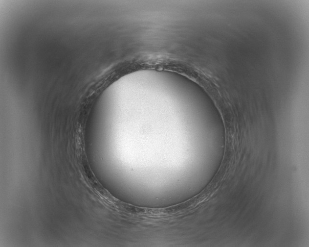 X0000061721349200512021031