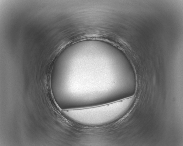 X0000061721353200512021031