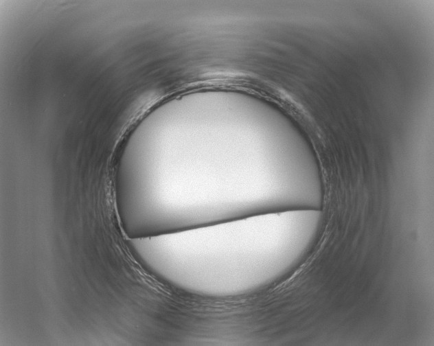 X0000061721362200512021031