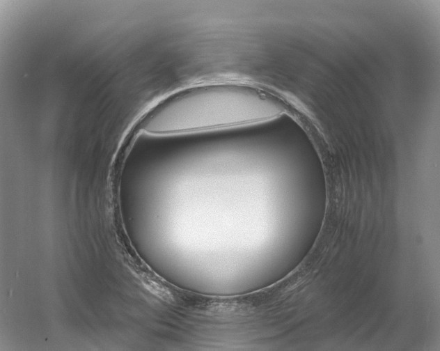 X0000061721364200512021031