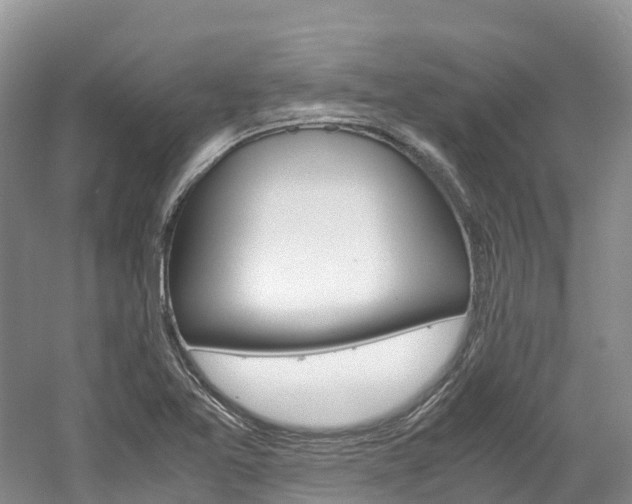 X0000061721365200512021031
