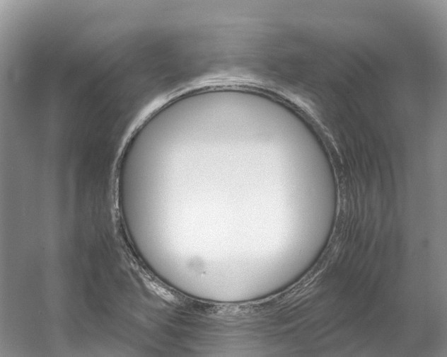 X0000061721366200512021031