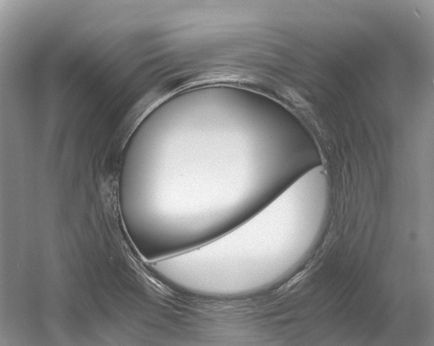 X0000061721369200512021031