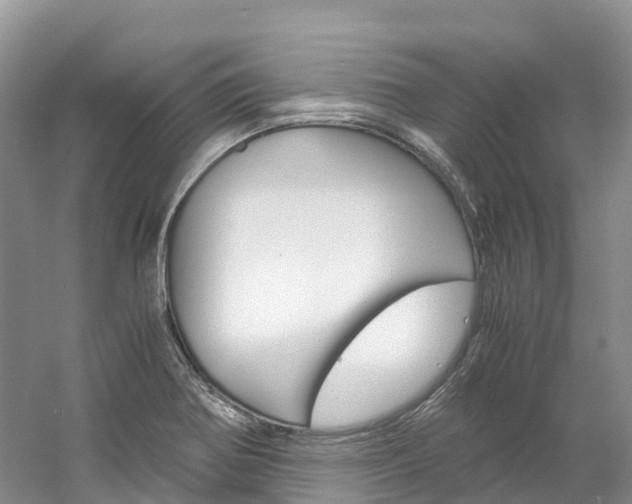 X0000061721370200512021031