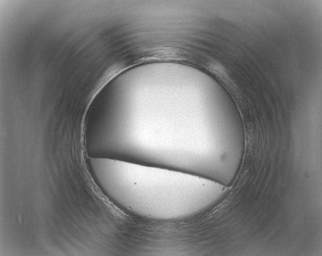 X0000061721378200512021031