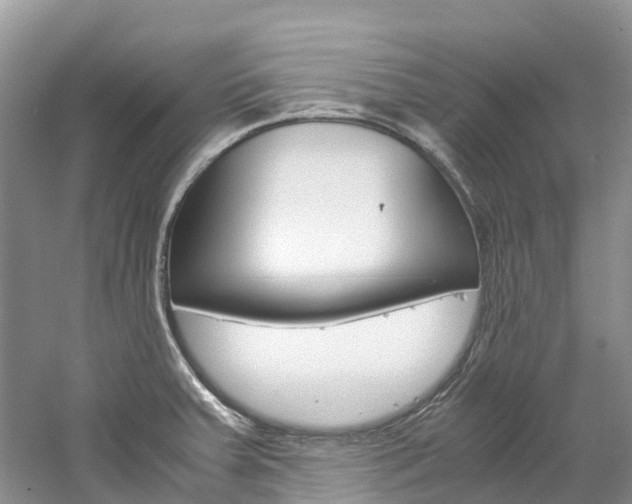 X0000061721379200512021031