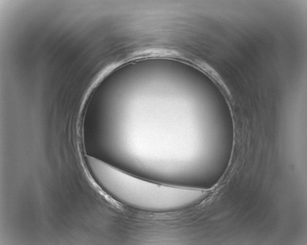 X0000061721381200512021031