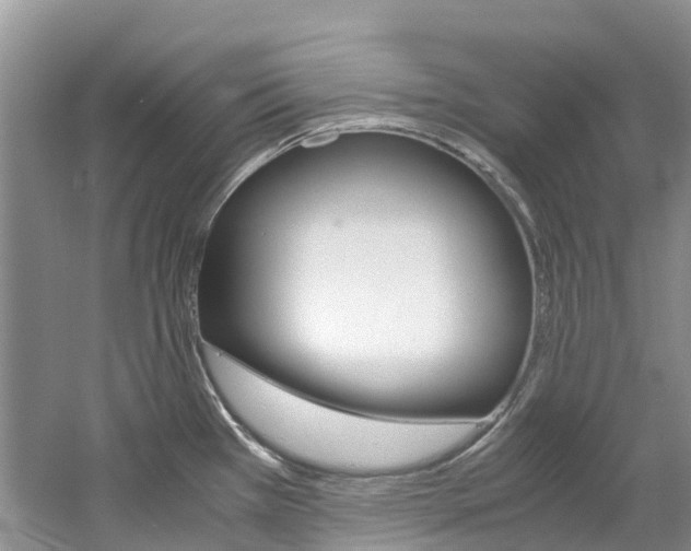 X0000061721385200512021031