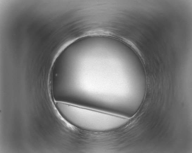 X0000061721387200512021031