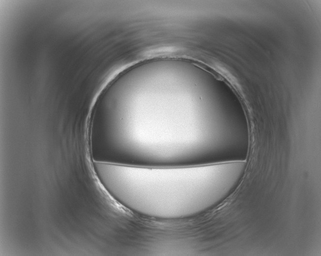 X0000061721392200512021030