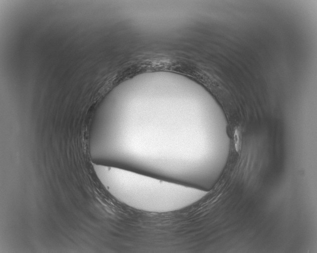 X0000061721395200512021030