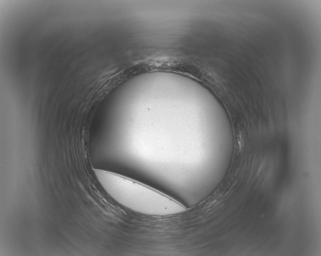 X0000061721396200512021030