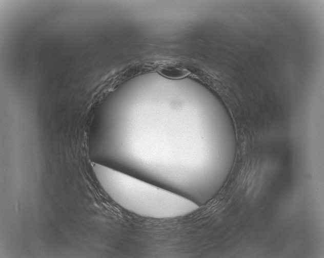 X0000061721397200512021030