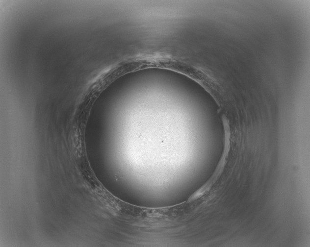X0000061721398200512021030