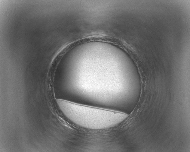 X0000061721400200512021030
