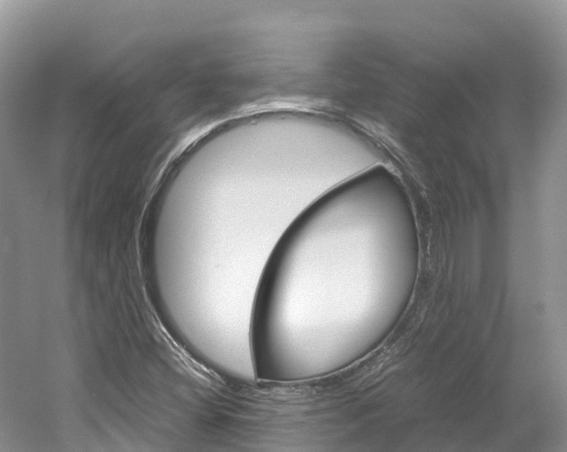 X0000061721404200512021030