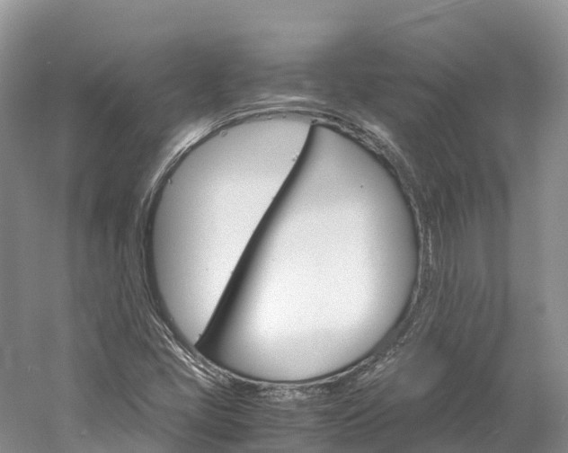 X0000061721405200512021030