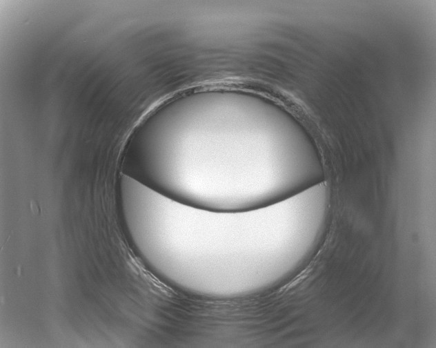 X0000061721409200512021030